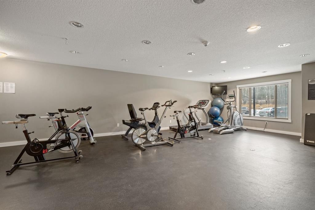 120-300 Palliser Lane, Canmore, AB - Indoor Photo Showing Gym Room