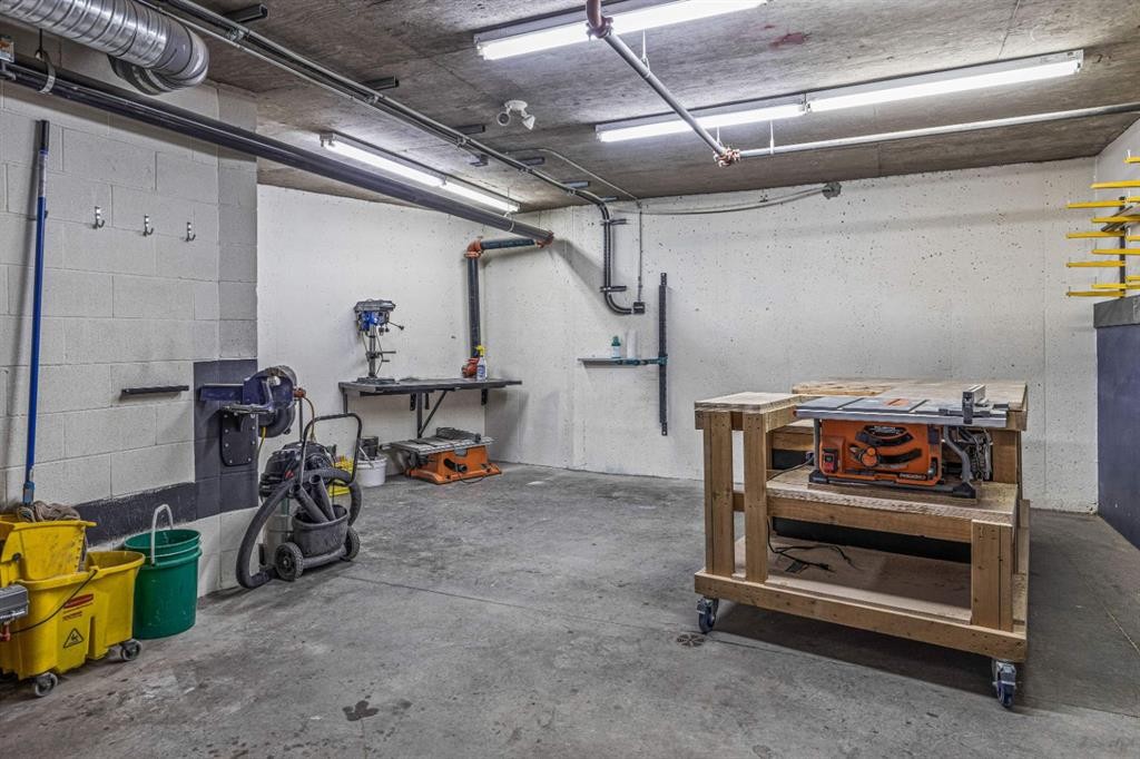 120-300 Palliser Lane, Canmore, AB - Indoor Photo Showing Garage