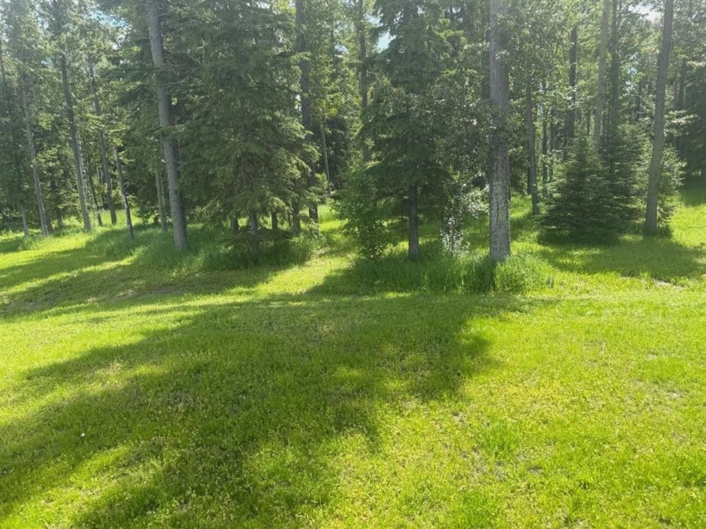 28-590059 Range Road 110, Rural Woodlands County, AB - Outdoor