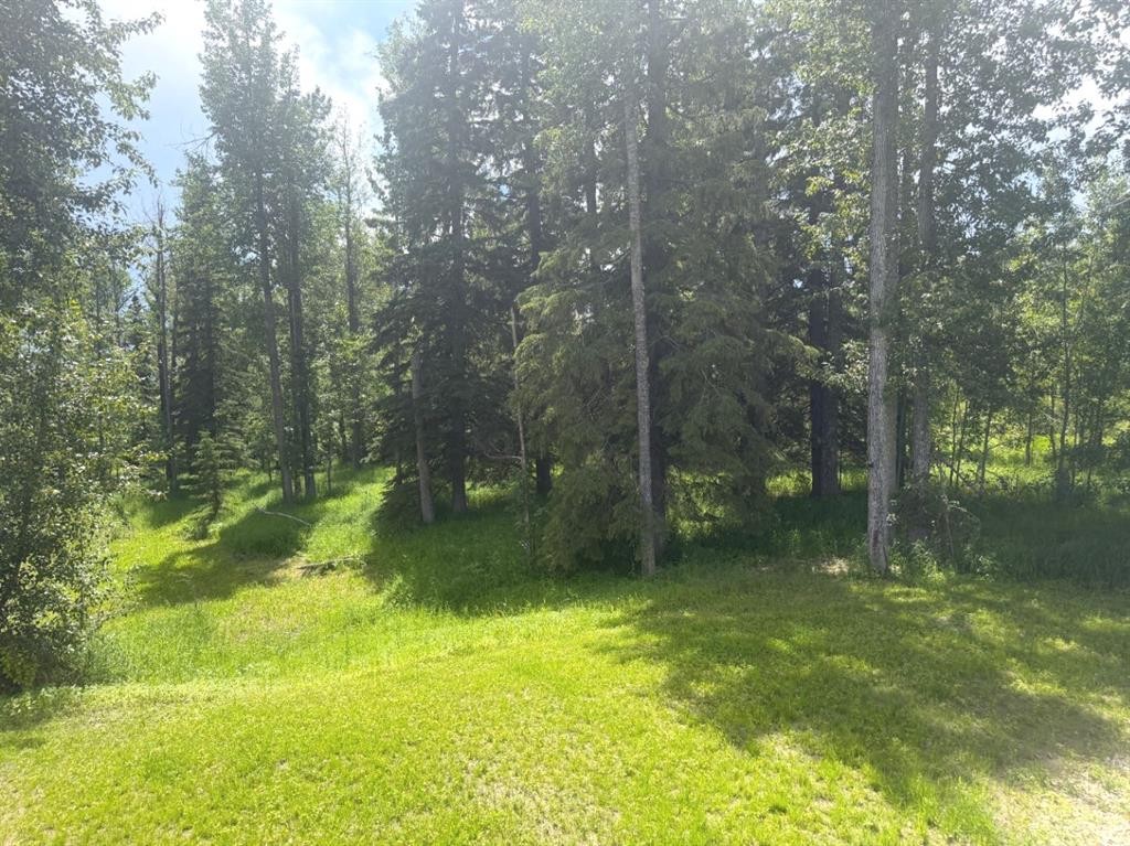 28-590059 Range Road 110, Rural Woodlands County, AB - Outdoor
