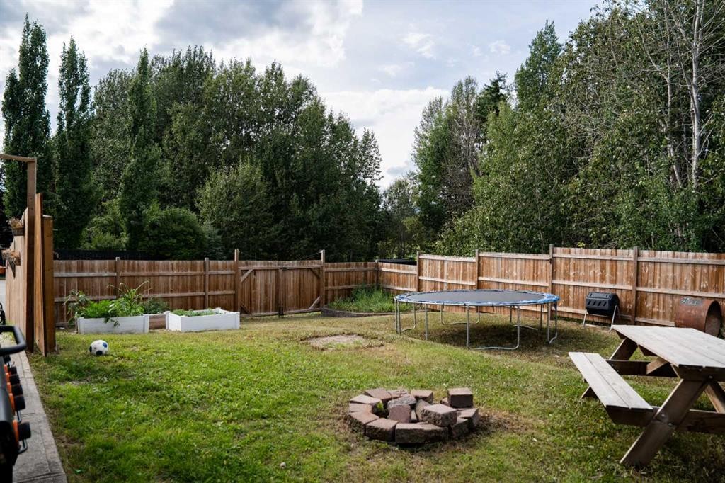 382 Skogg Avenue, Hinton, AB - Outdoor With Backyard