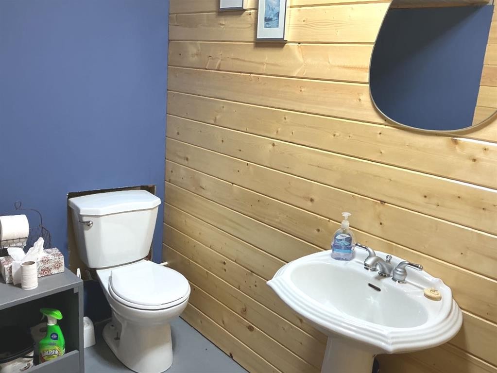 28 Centennial Crescent, Swan Hills, AB - Indoor Photo Showing Bathroom