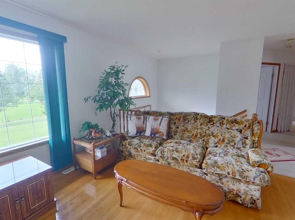 655019 44 Highway, Flatbush, AB - Indoor Photo Showing Living Room