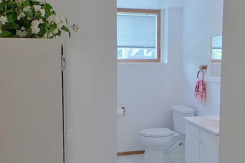 655019 44 Highway, Flatbush, AB - Indoor Photo Showing Bathroom