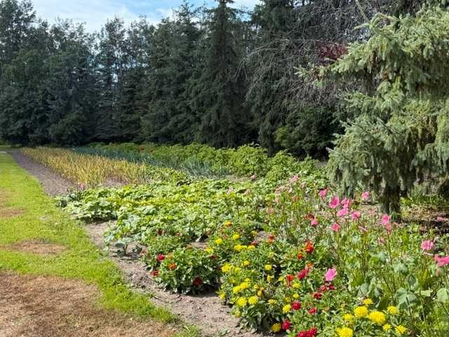 655019 44 Highway, Flatbush, AB - Outdoor
