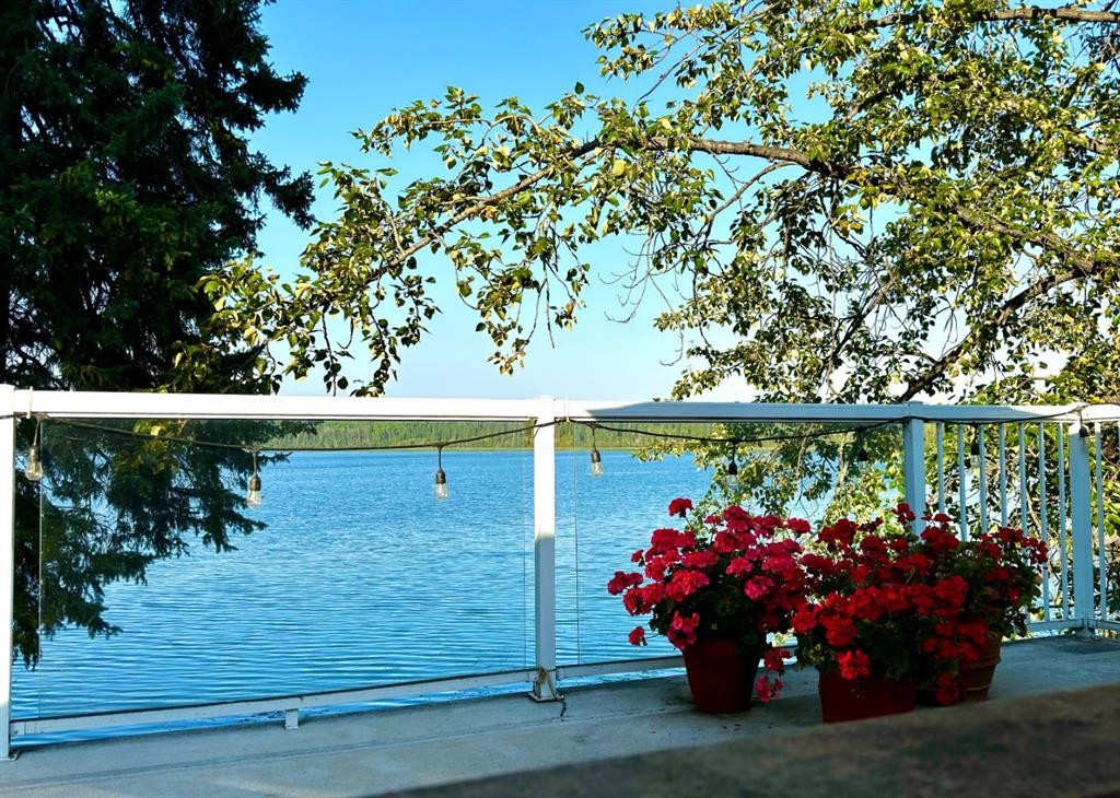 30 Carlson Drive, Goose Lake, AB - Outdoor