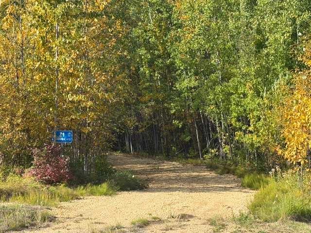 71 Lakeview Heights, Canyon Creek, AB