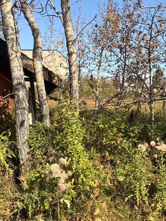 4601 52 Street, Entwistle, AB