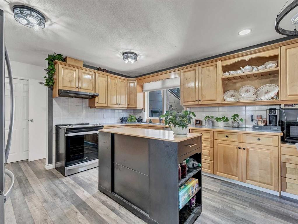 517 Tulip Street, Rosemary, AB - Indoor Photo Showing Kitchen