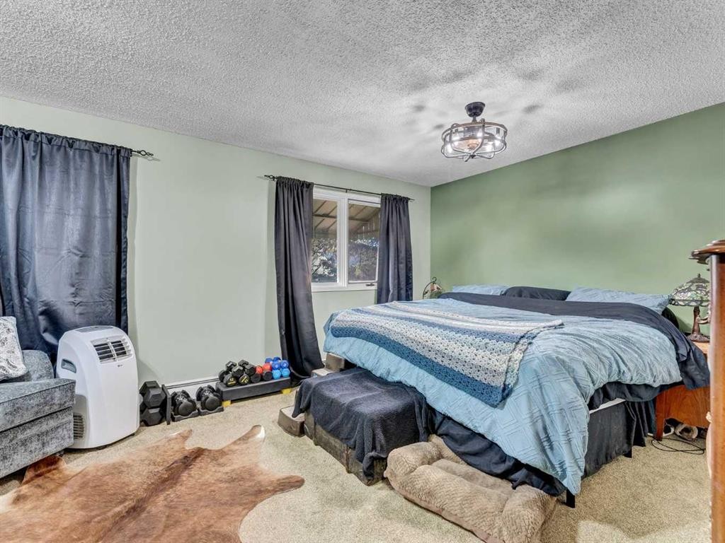 517 Tulip Street, Rosemary, AB - Indoor Photo Showing Bedroom