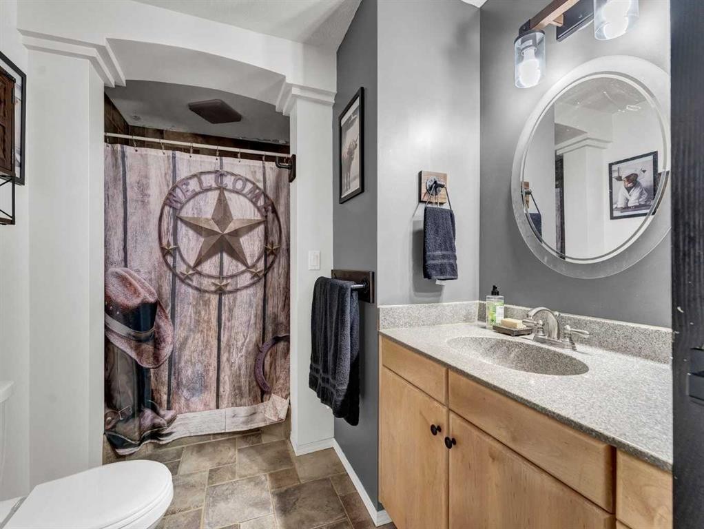 517 Tulip Street, Rosemary, AB - Indoor Photo Showing Bathroom