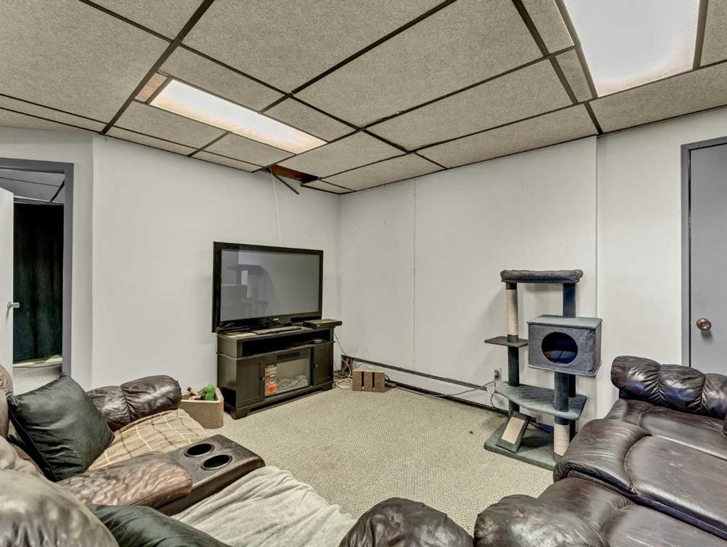 517 Tulip Street, Rosemary, AB - Indoor