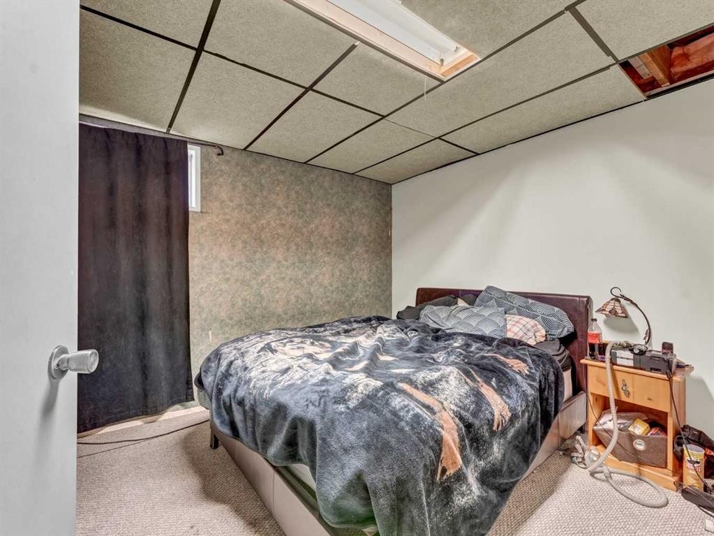 517 Tulip Street, Rosemary, AB - Indoor Photo Showing Bedroom