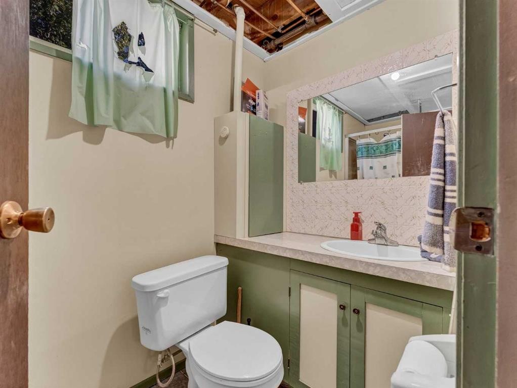 517 Tulip Street, Rosemary, AB - Indoor Photo Showing Bathroom