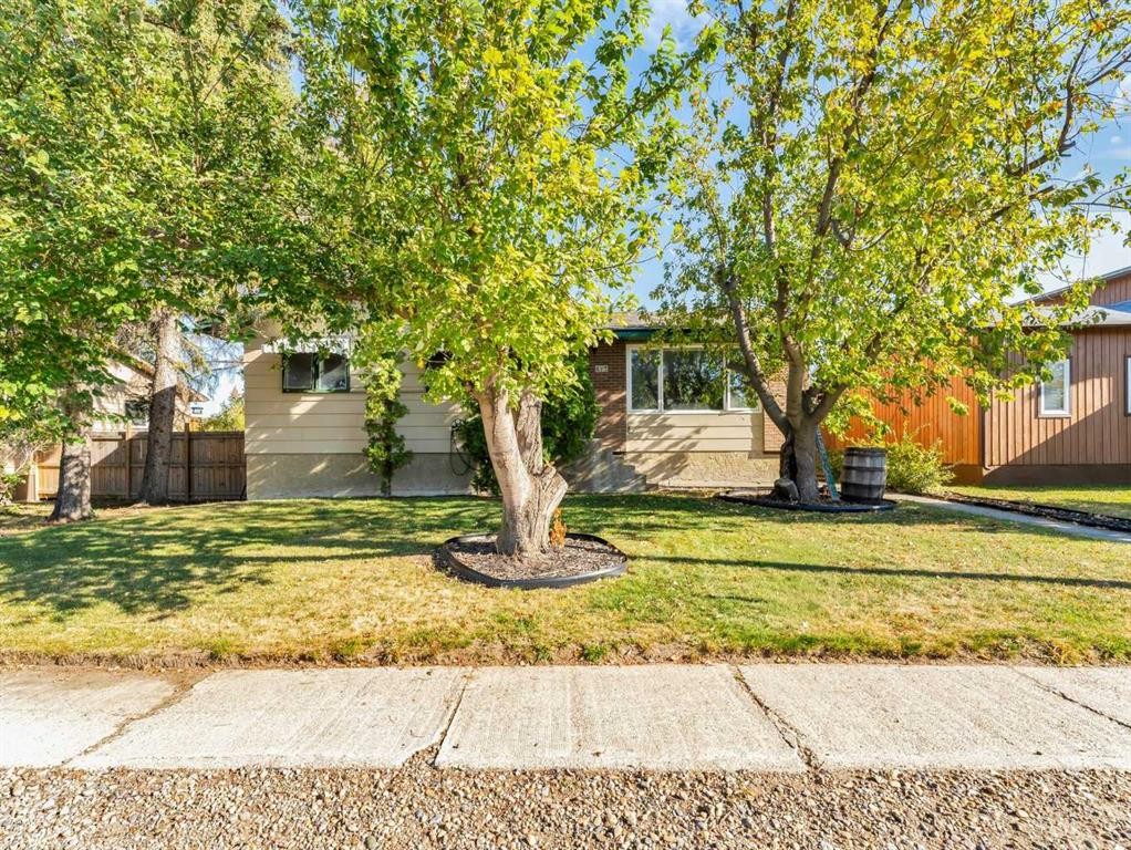 517 Tulip Street, Rosemary, AB - Outdoor