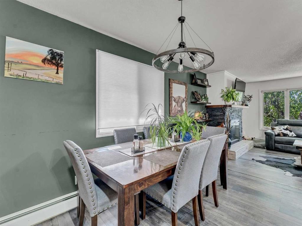 517 Tulip Street, Rosemary, AB - Indoor Photo Showing Dining Room