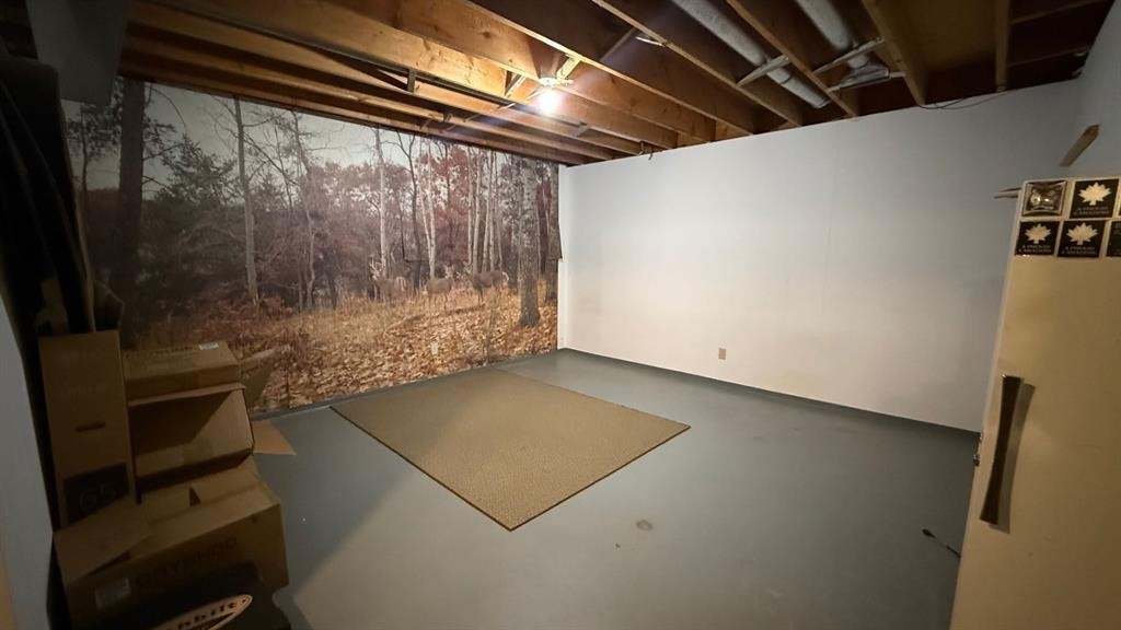 109 Winkler Drive, Hanna, AB - Indoor Photo Showing Basement