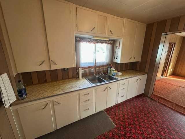 308 1 Avenue East, Hanna, AB - Indoor Photo Showing Kitchen With Double Sink
