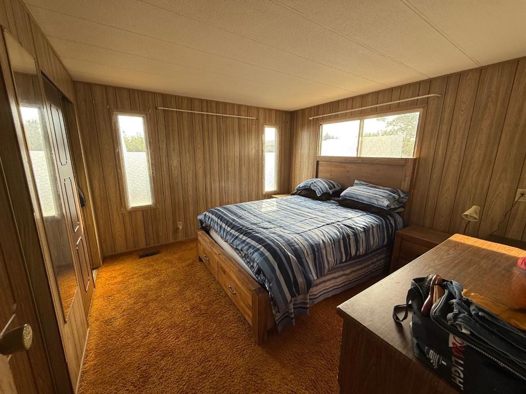 201 3 Avenue Se, Youngstown, AB - Indoor Photo Showing Bedroom