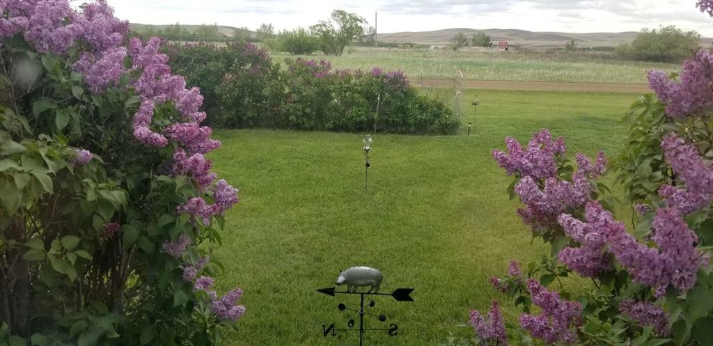 120 Main Street, Michichi, AB - Outdoor With View