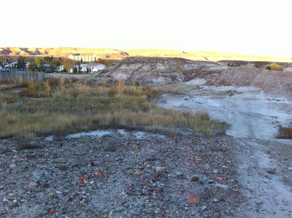 Nw-02-029-20W4M Nw Other, Drumheller, AB