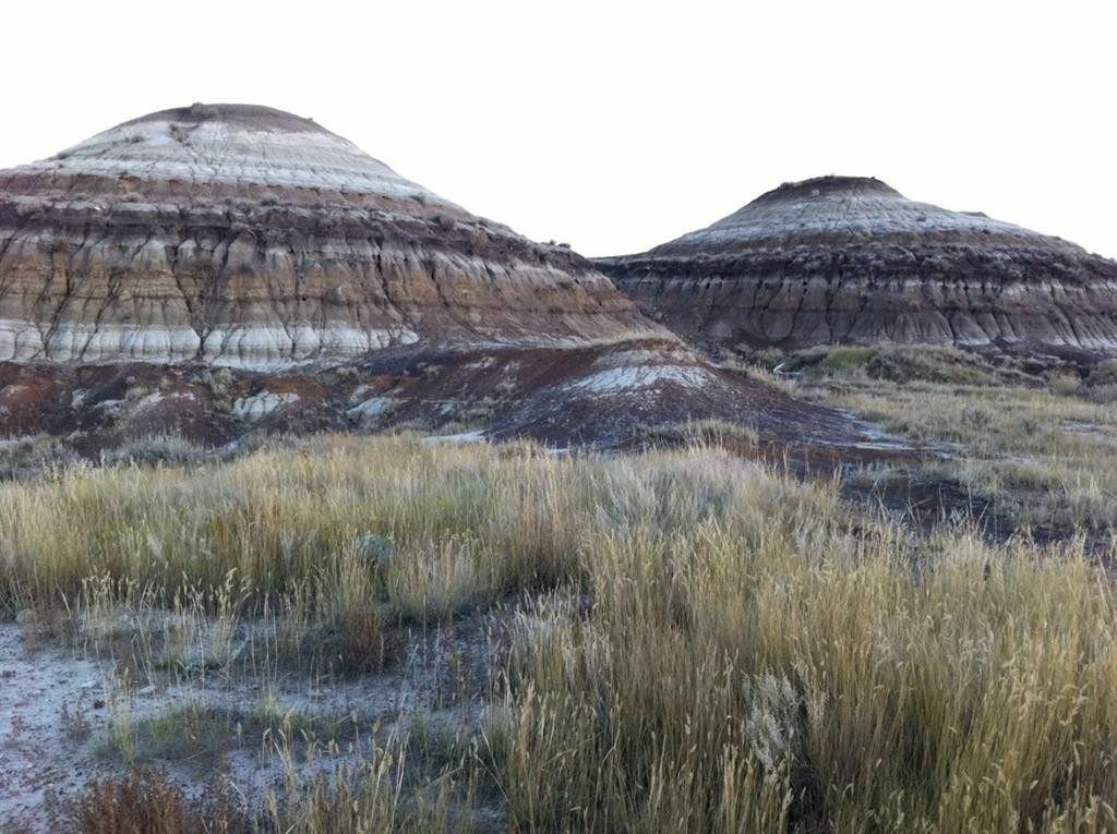 Nw-02-029-20W4M Nw Other, Drumheller, AB