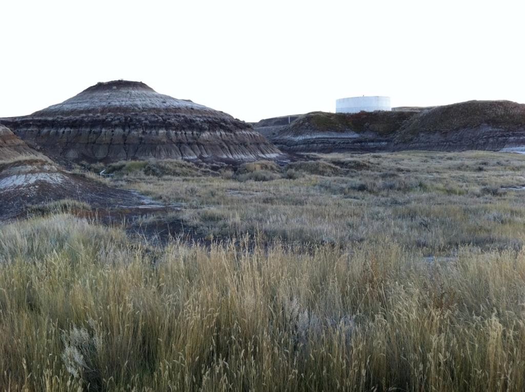 Nw-02-029-20W4M Nw Other, Drumheller, AB