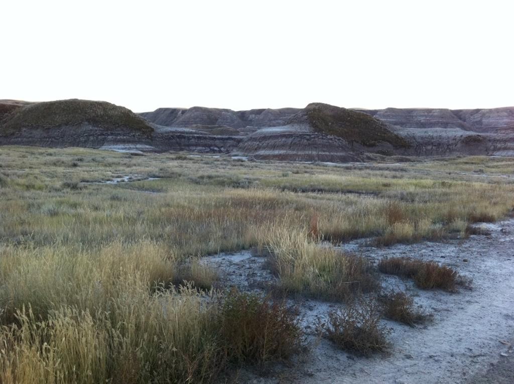 Nw-02-029-20W4M Nw Other, Drumheller, AB