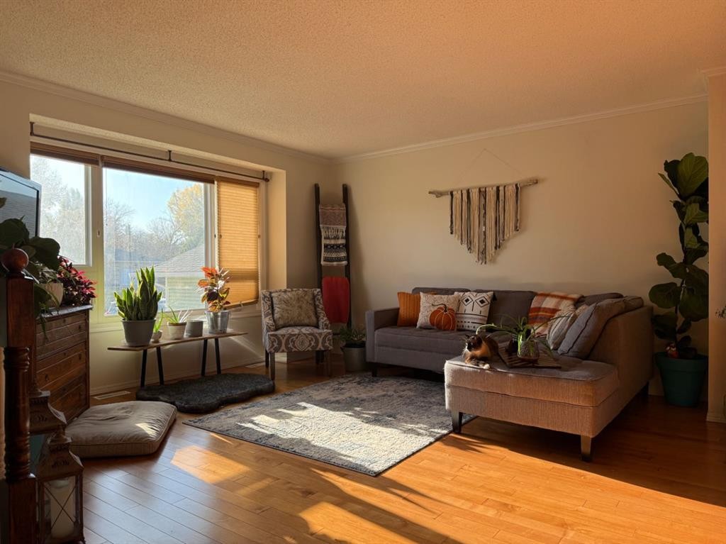 1148 Newcastle Road, Drumheller, AB - Indoor Photo Showing Living Room