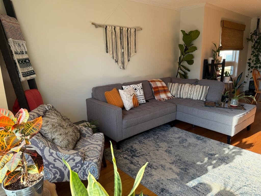 1148 Newcastle Road, Drumheller, AB - Indoor Photo Showing Living Room