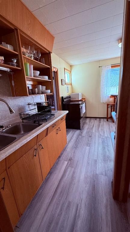 215 5 Avenue West, Hanna, AB - Indoor Photo Showing Kitchen With Double Sink