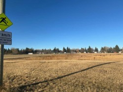 711 11 Avenue NE Three Hills, AB T0M 2N0