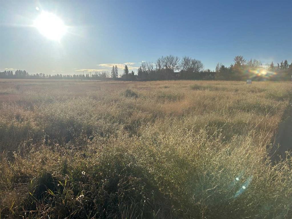 700 11 Ave Ne, Three Hills, AB