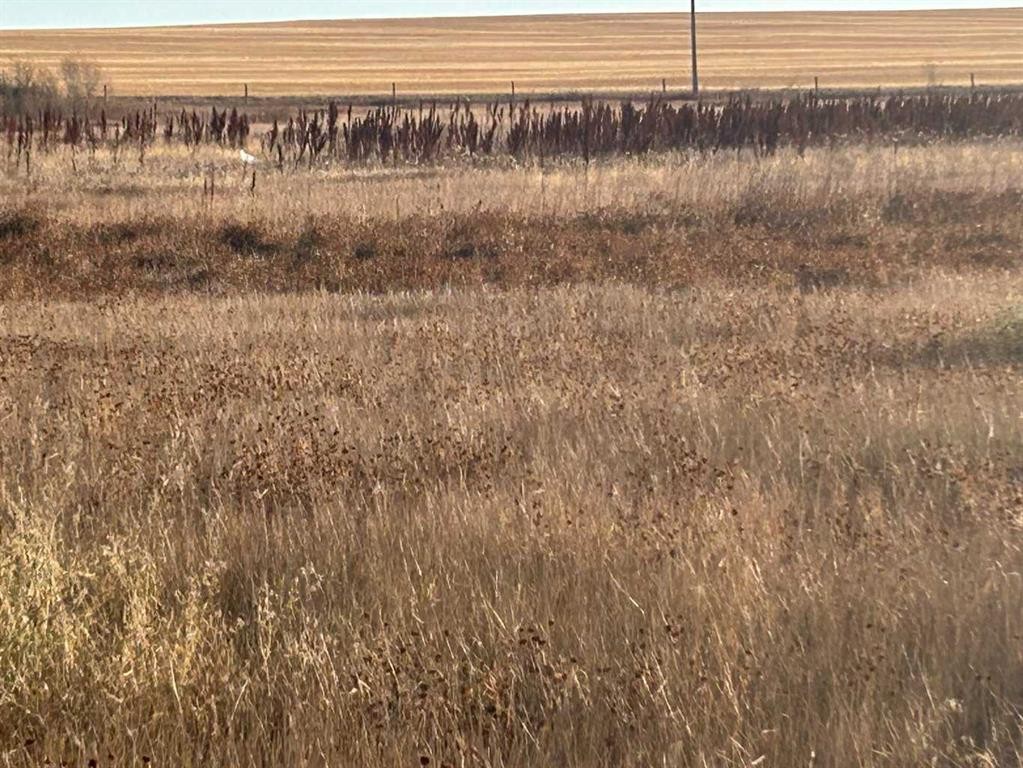 700 11 Ave Ne, Three Hills, AB