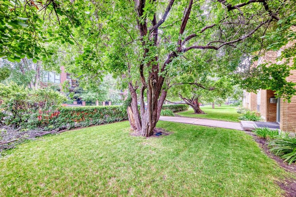 8-310 22 Avenue Sw, Calgary, AB - Outdoor