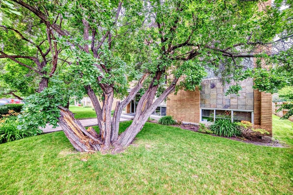 8-310 22 Avenue Sw, Calgary, AB - Outdoor