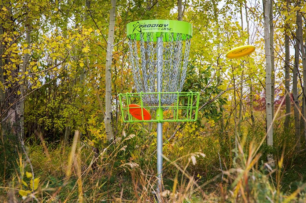 13 Cottonwood Crescent, Rosemary, AB