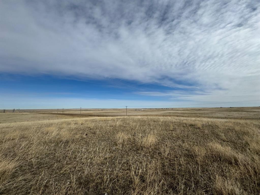 Range Road 43, Rural Cypress County, AB