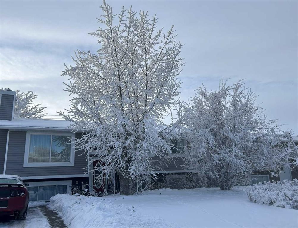 4529 Shannon Drive, Olds, AB - Outdoor