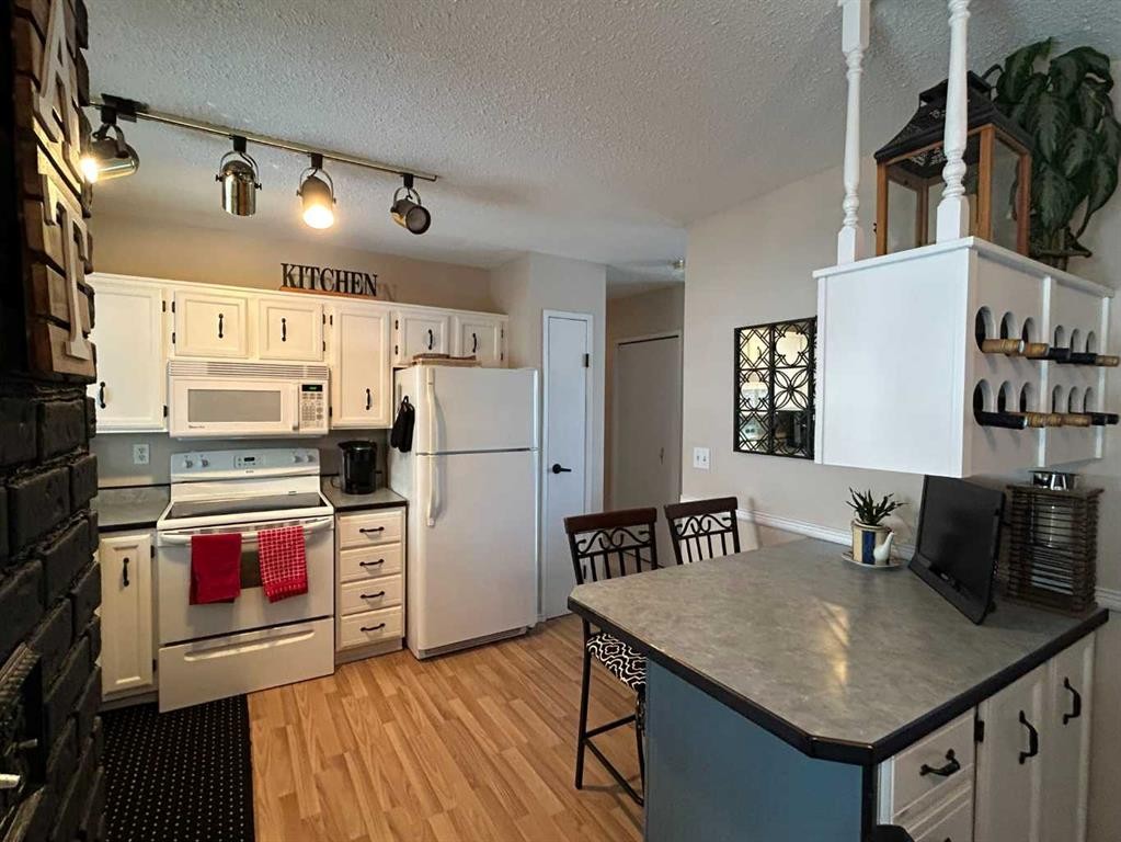4529 Shannon Drive, Olds, AB - Indoor Photo Showing Kitchen