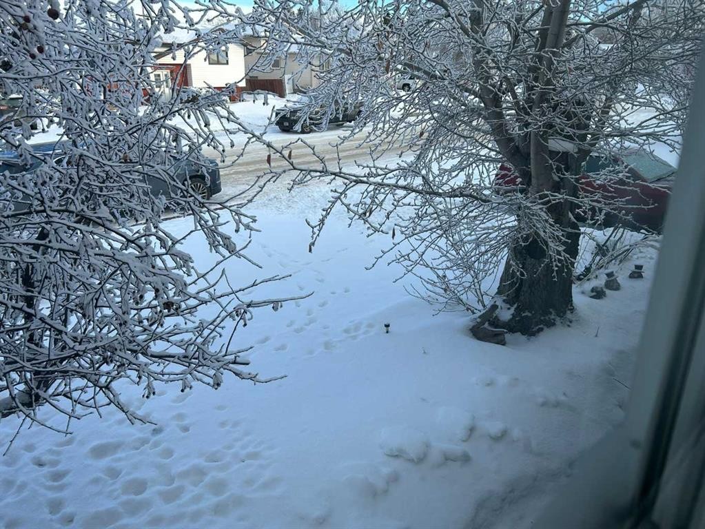 4529 Shannon Drive, Olds, AB - Outdoor