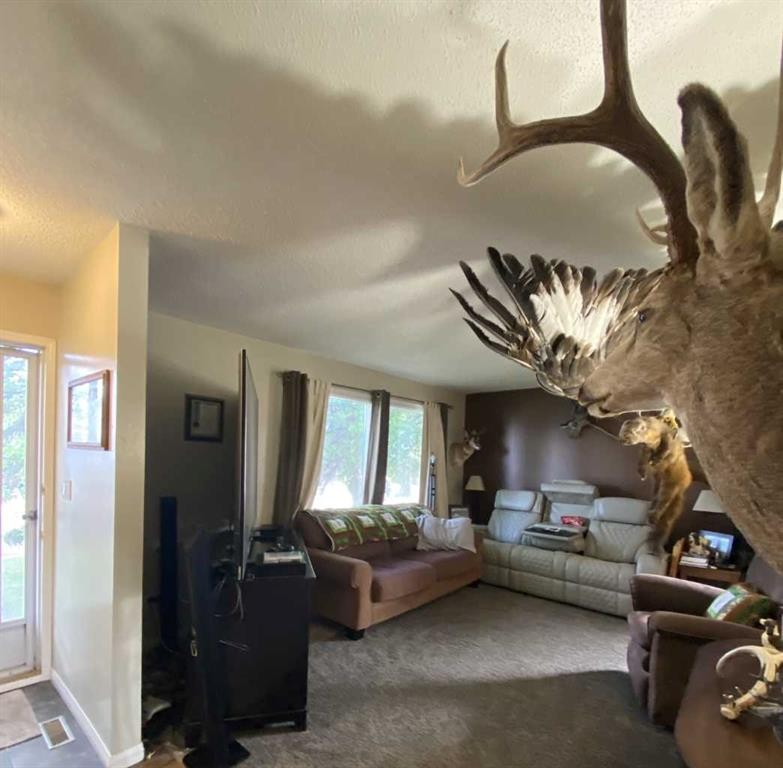 85 Ingram Park Drive, Brooks, AB - Indoor Photo Showing Living Room