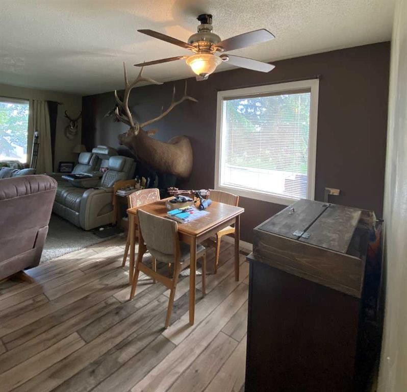 85 Ingram Park Drive, Brooks, AB - Indoor Photo Showing Living Room