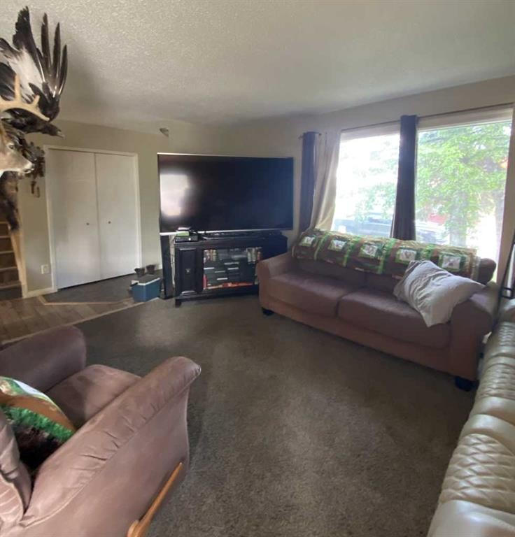 85 Ingram Park Drive, Brooks, AB - Indoor Photo Showing Living Room