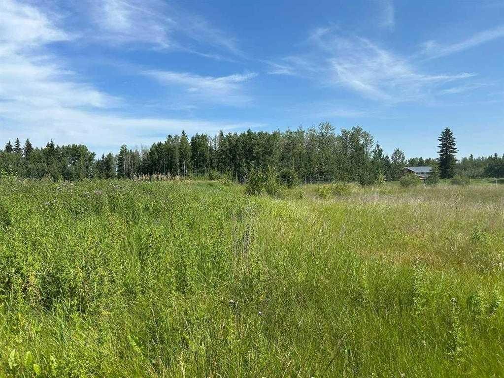 4516 Highway 27, Rural Mountain View County, AB