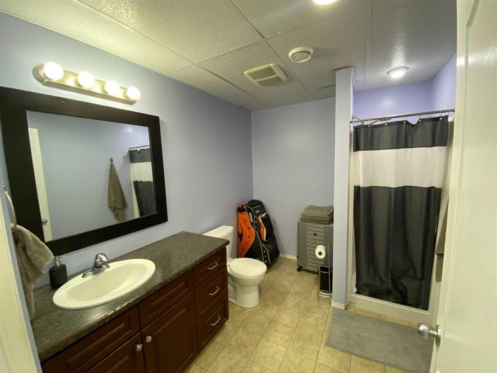 12 Pleasant Park Place West, Brooks, AB - Indoor Photo Showing Bathroom