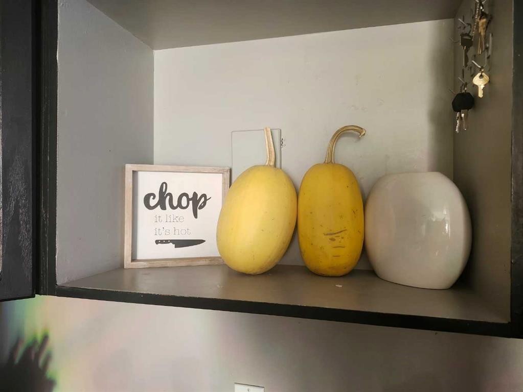 104 23 Street Nw, Drumheller, AB - Indoor