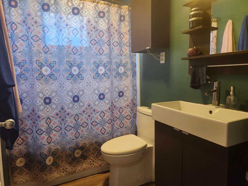 104 23 Street Nw, Drumheller, AB - Indoor Photo Showing Bathroom