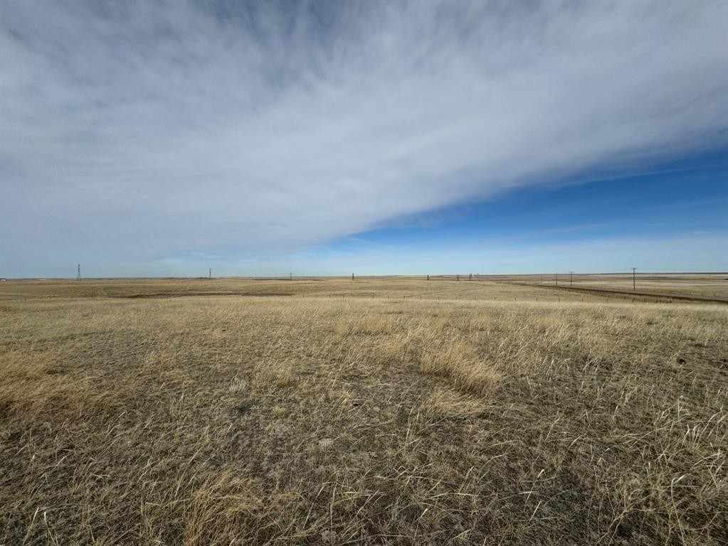 Range Road 43, Rural Cypress County, AB
