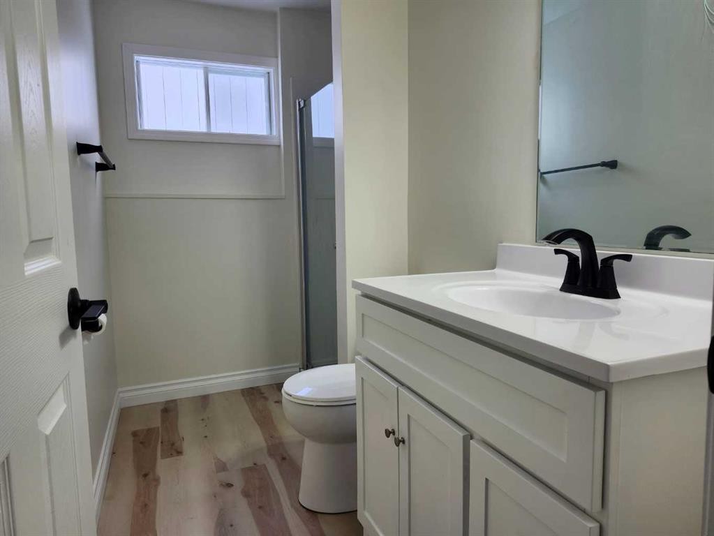 1318 Newcastle Trail, Drumheller, AB - Indoor Photo Showing Bathroom